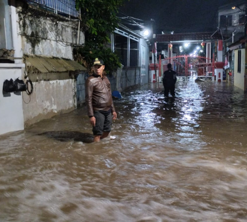 catalog-of-multicolored-cloth-from-matting-fabric-2025-03-09-11-18-59-utc 4