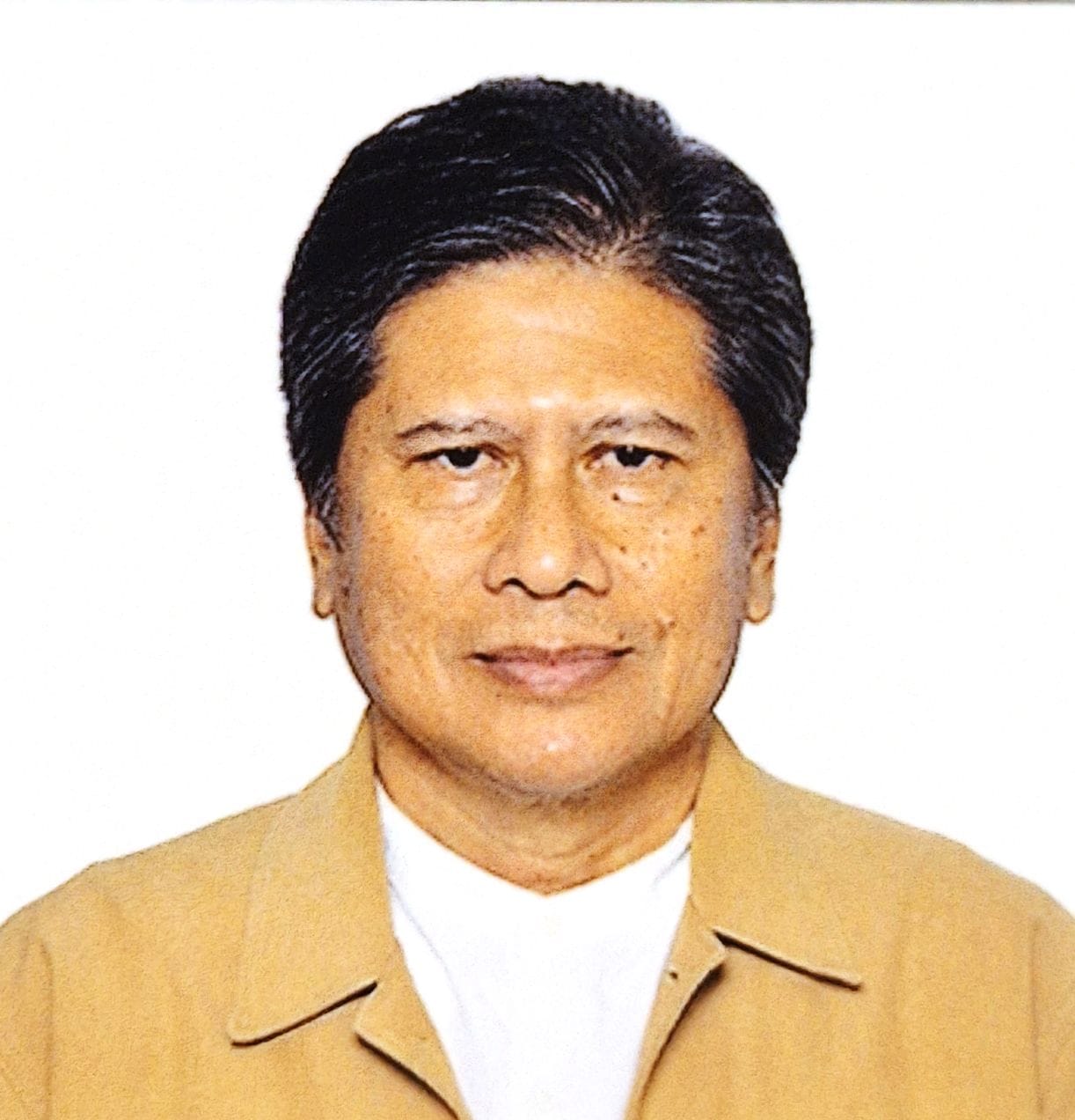 Ir. Mikhael Heru Wicaksono